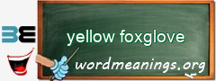 WordMeaning blackboard for yellow foxglove